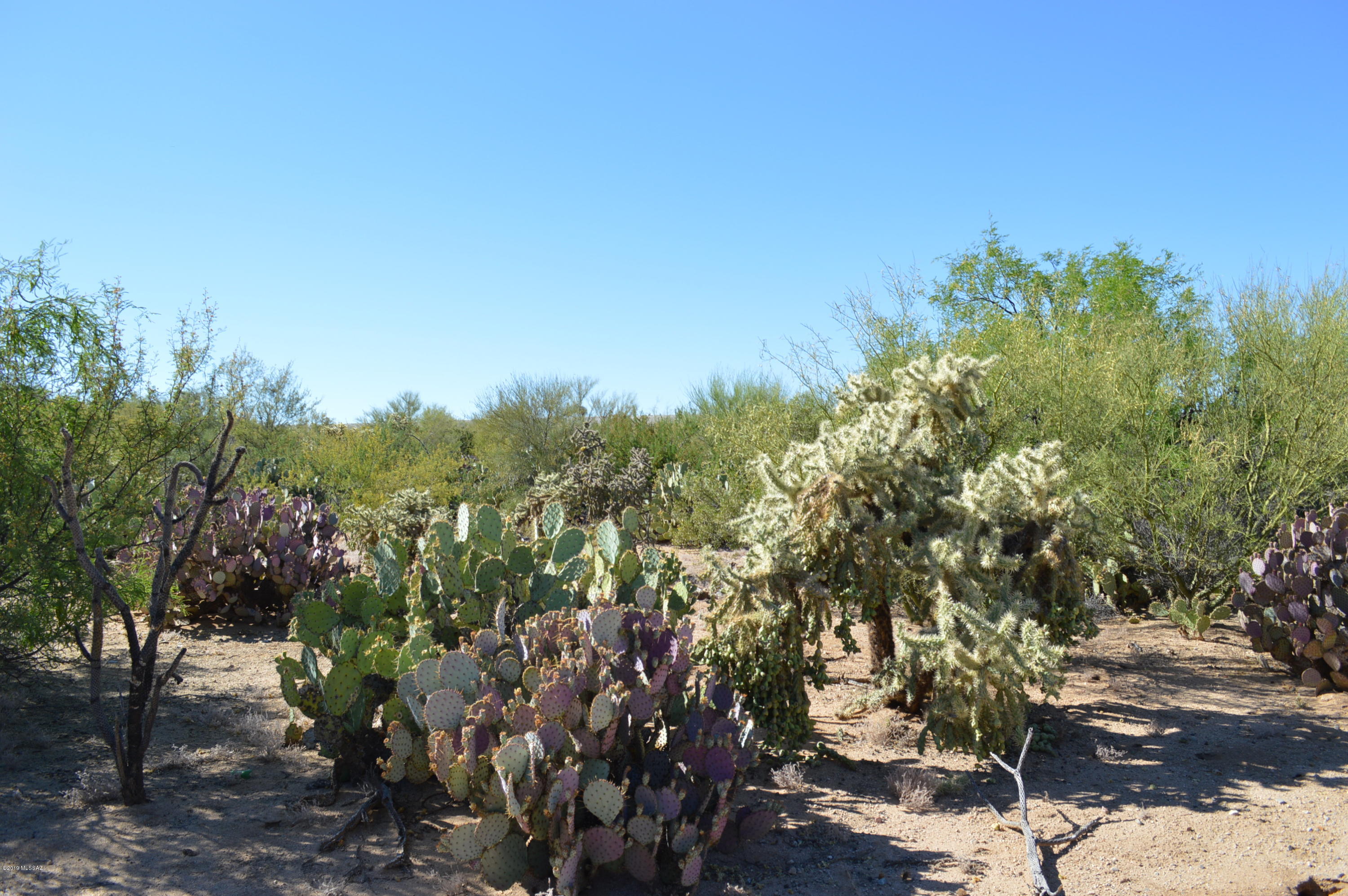 Rancho Buena Vista (30-69) - Land