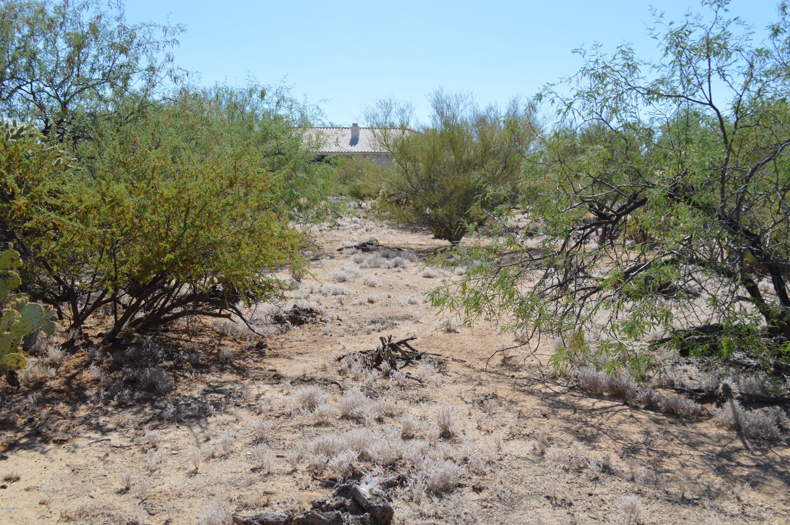 Rancho Buena Vista (30-69) - Land
