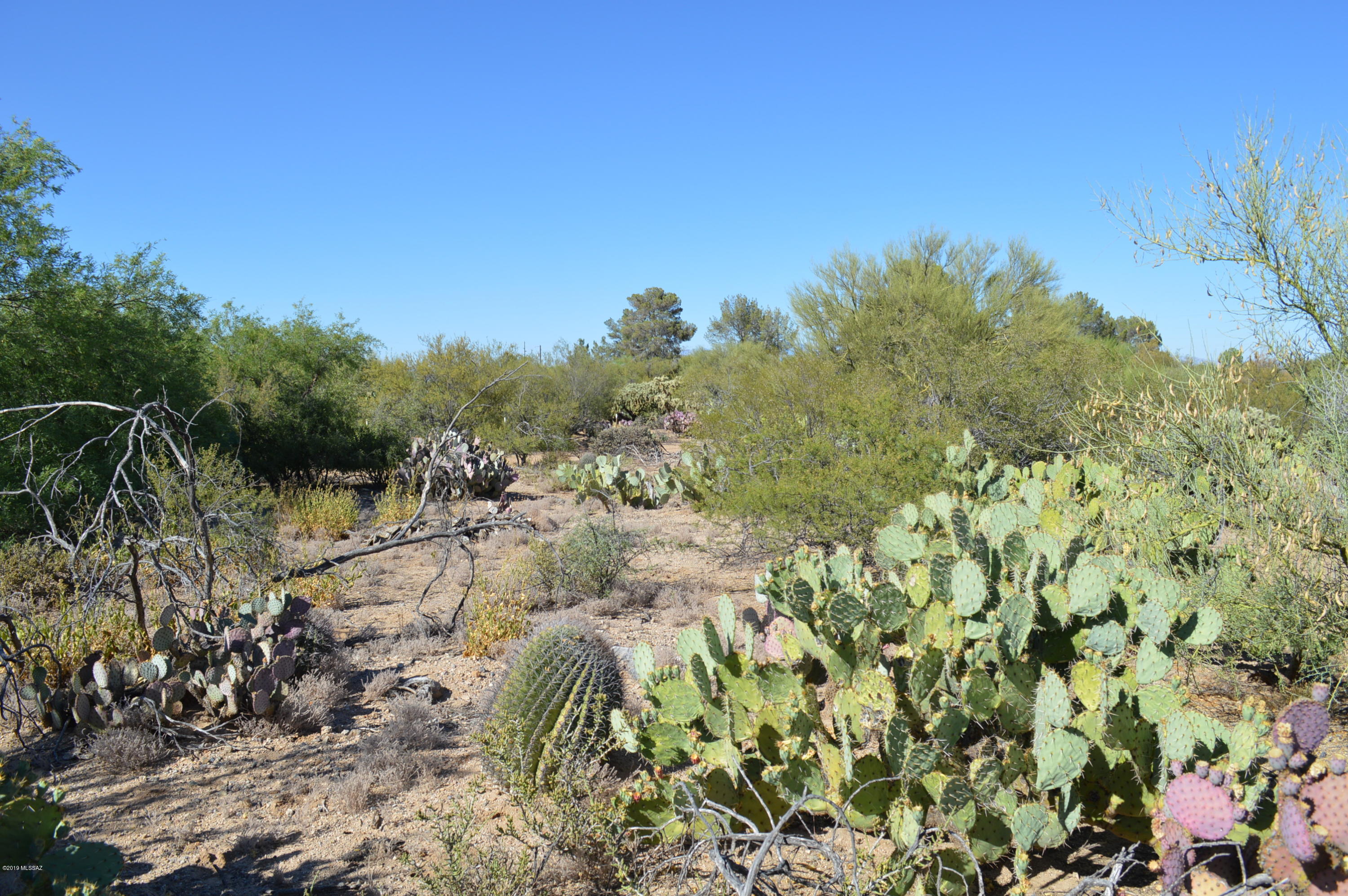 Rancho Buena Vista (30-69) - Land