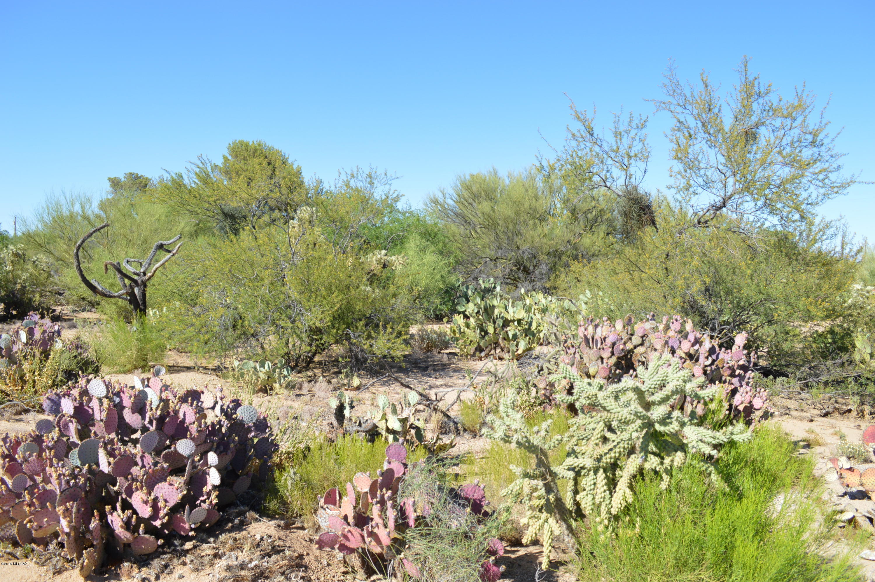 Rancho Buena Vista (30-69) - Land