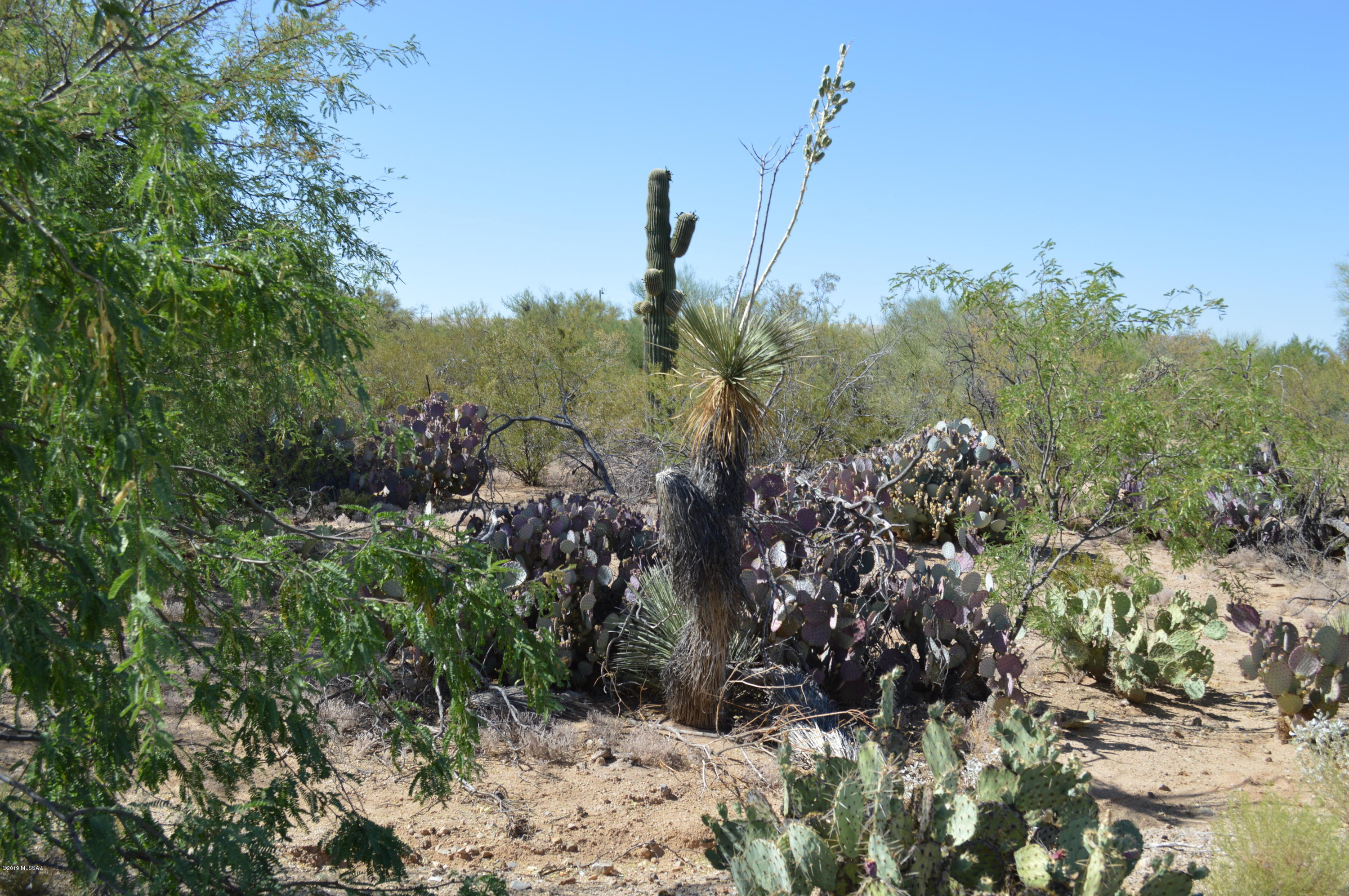Rancho Buena Vista (30-69) - Land