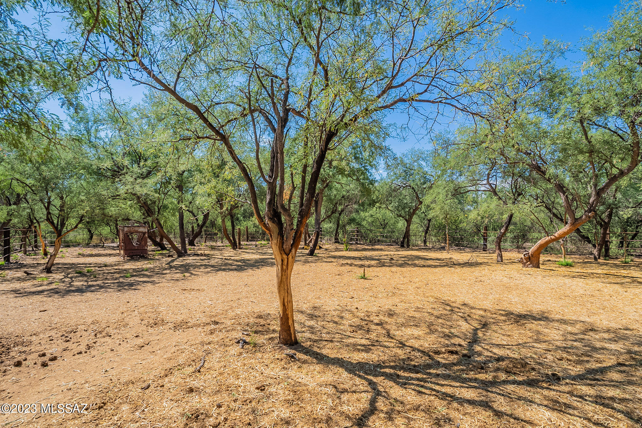 Rio Rico Estates - Land