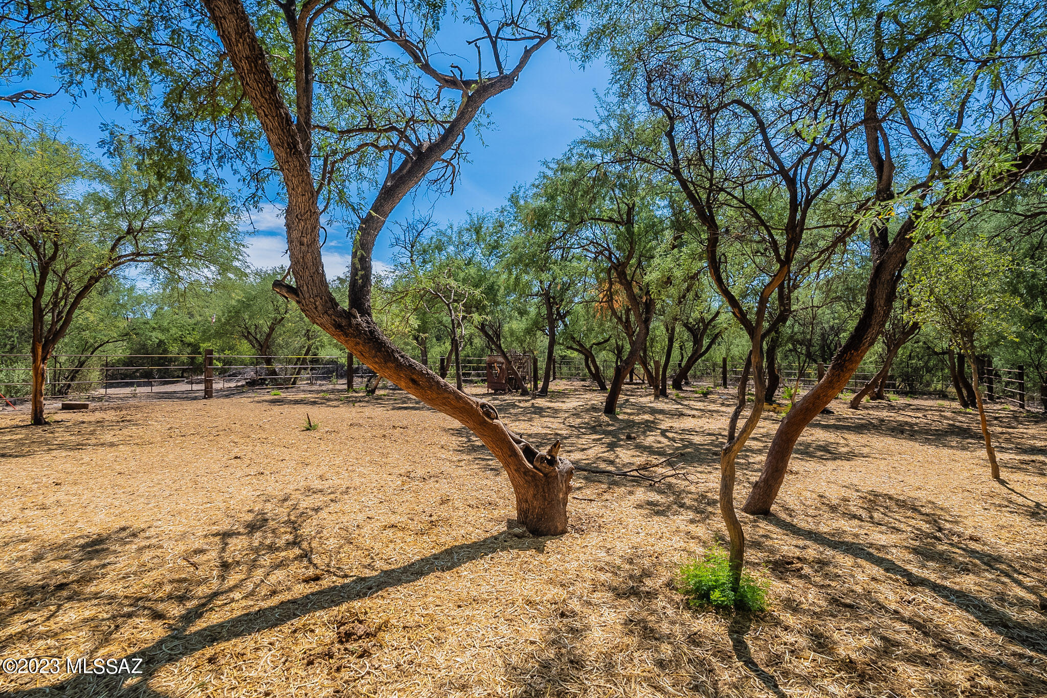 Rio Rico Estates - Land