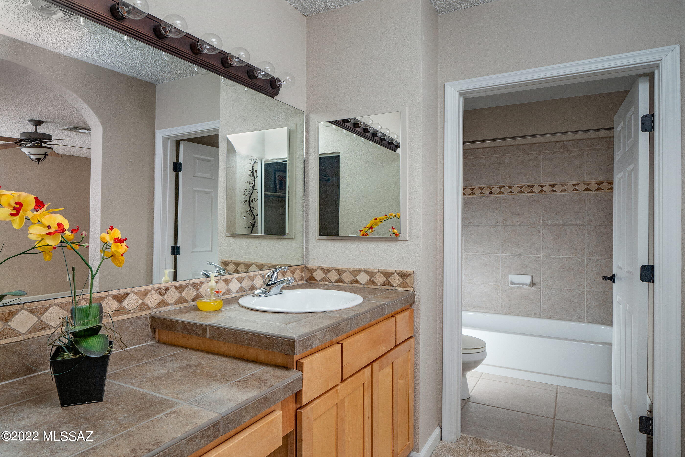 Tierra Catalina Condominium (1-120) - Residential