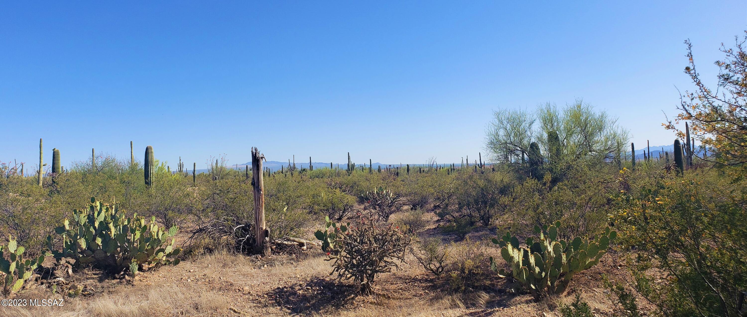 359 ft. of Sandario Rd. frontage with over 595 ft. of depth allowing you to build your custom dream home far enough back from Sandario Rd. to find a serene setting with mountain views in multiple directions as you peer through all the saguaros and trees onsite. All four lot corners have been marked with red colored flags on stakes. Electric & telephone lines located along Sandario Rd. As per Sandario Water Co., their meter box is located by the NE corner of this parcel. With immediate access to Water & Electricity, anyone who qualifies can receive a loan to build a house. RVs are allowed. This land looks just like the land in the nearby SAGUARO NATIONAL PARK. Lush and quite beautiful. Drive out today for a closer look. Easy access to OLD TUCSON and the DESERT MUSEUM.
