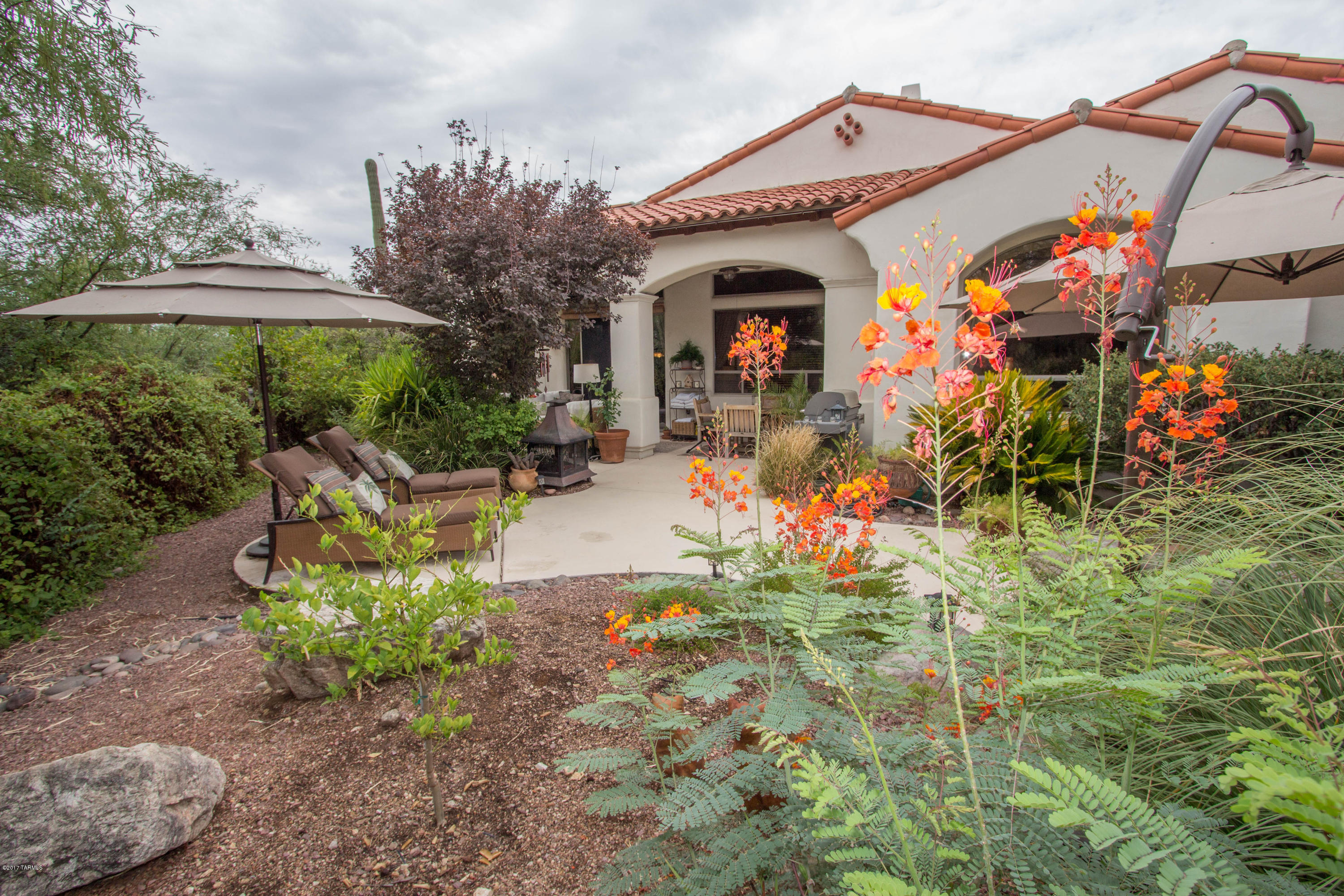 Sabino Springs (FINAL) - Residential