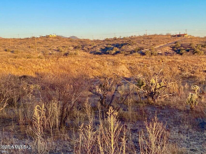 Rio Rico Ranchettes 14 - Land
