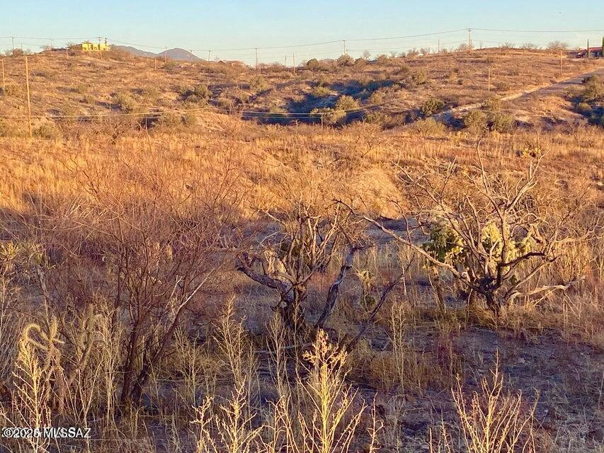 Rio Rico Ranchettes 14 - Land