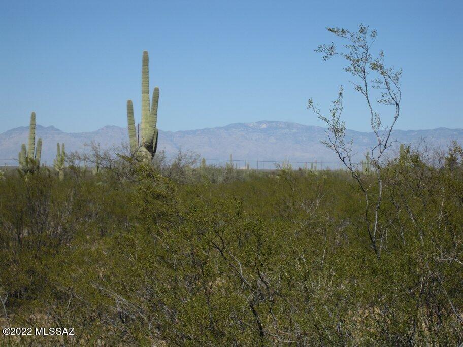 Beautiful high desert landscape with lush natural vegetation including saguaros, mesquite and prickly pear. Spectacular site with panoramic views in all directions. Part of a 20 acre split into 4 exclusive homesites surrounded by state land. Underground Electric and Telephone to lot lines with shared well. Perfect for individuals looking for custom home site to build their dream home or builder looking to purchase building site. CC&R's and Well and Road agreement are recorded.