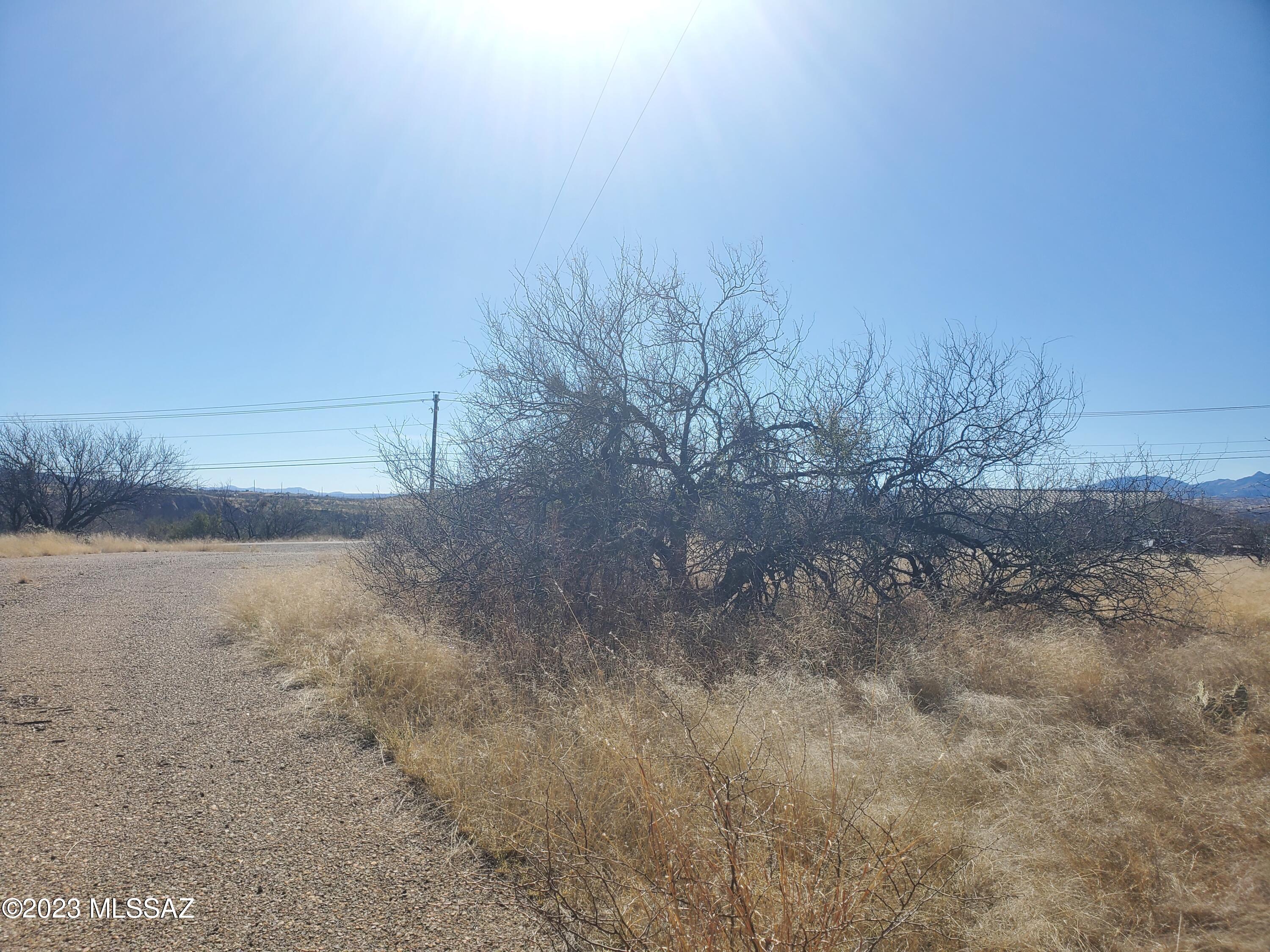 Rio Rico Villas 11 - Land