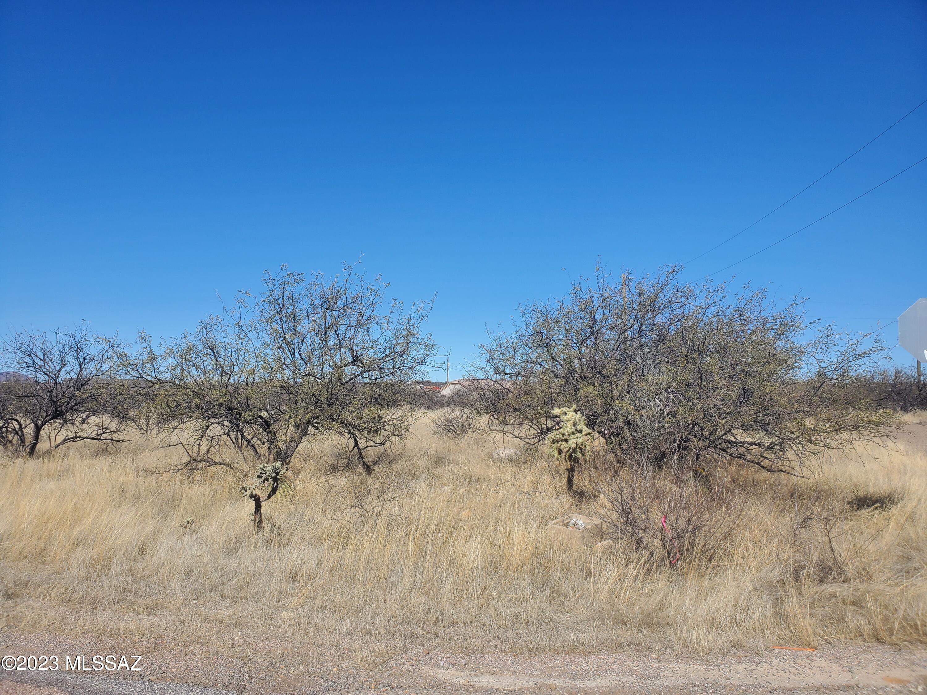 Rio Rico Villas 11 - Land