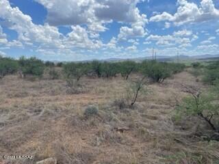 Rio Rico Ranchettes 4 - Land