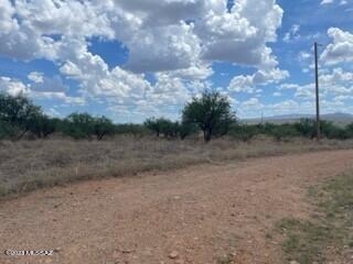 Rio Rico Ranchettes 4 - Land