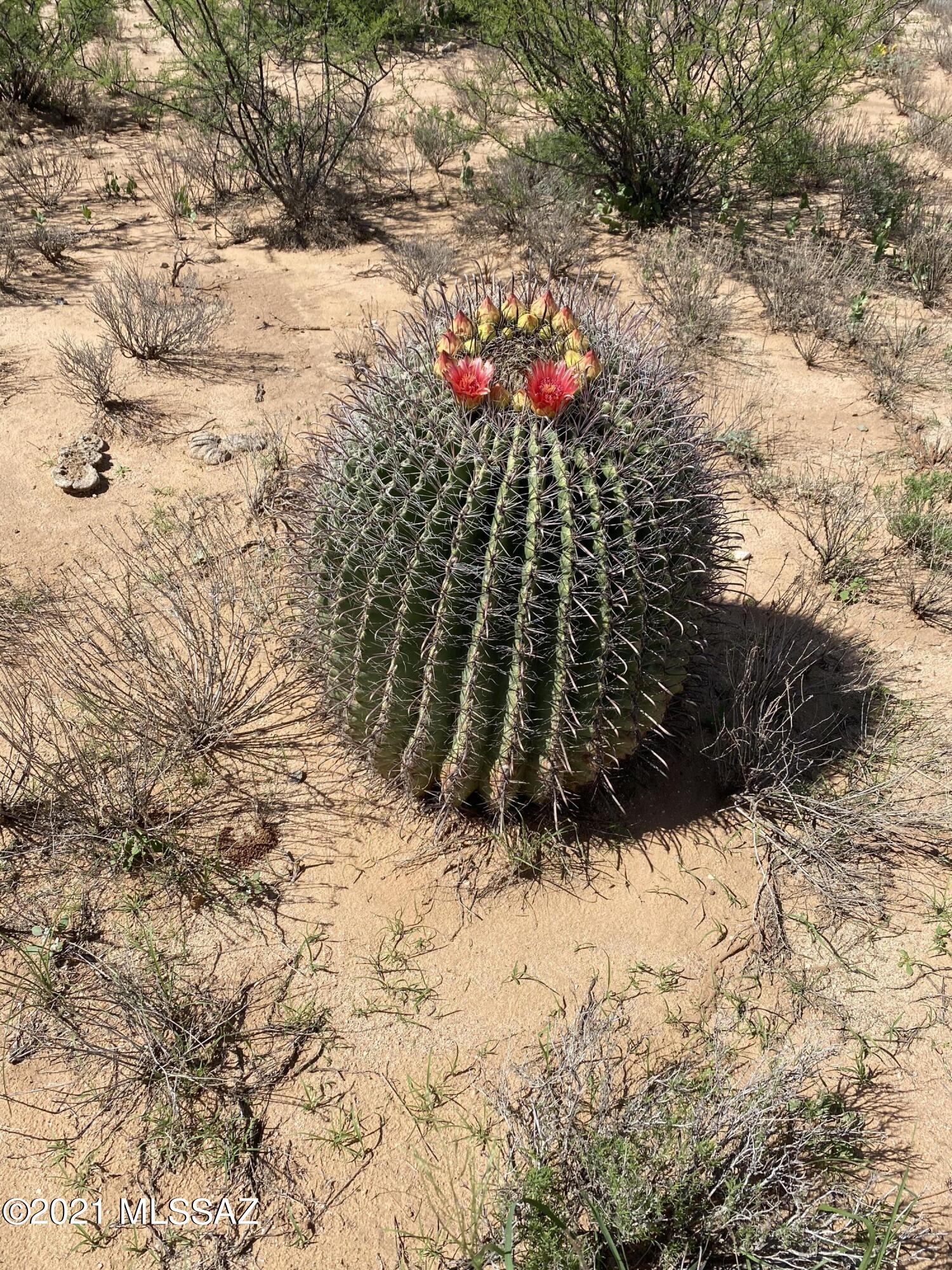San Pedro Ranches - Land