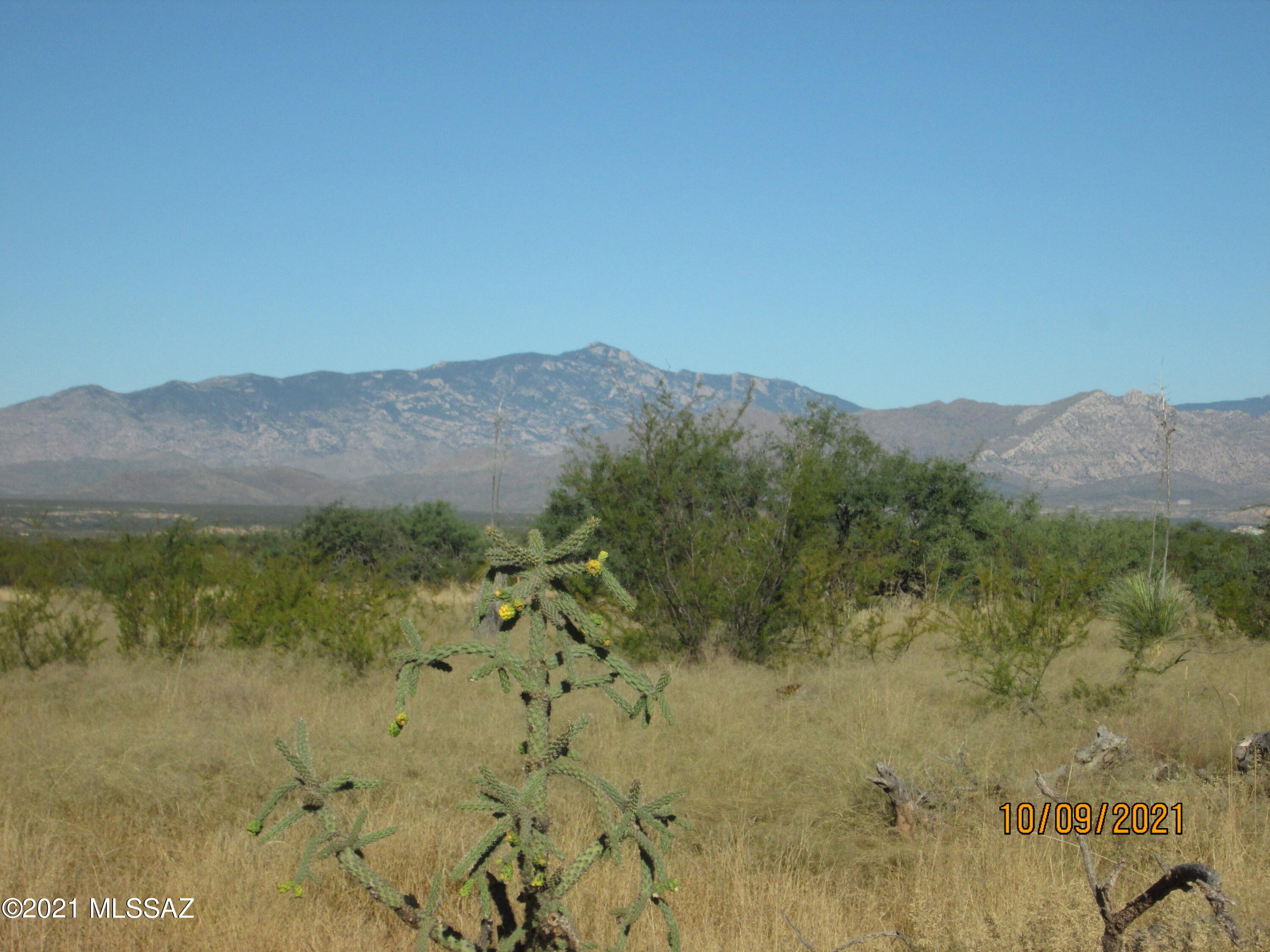 San Pedro Ranches - Land