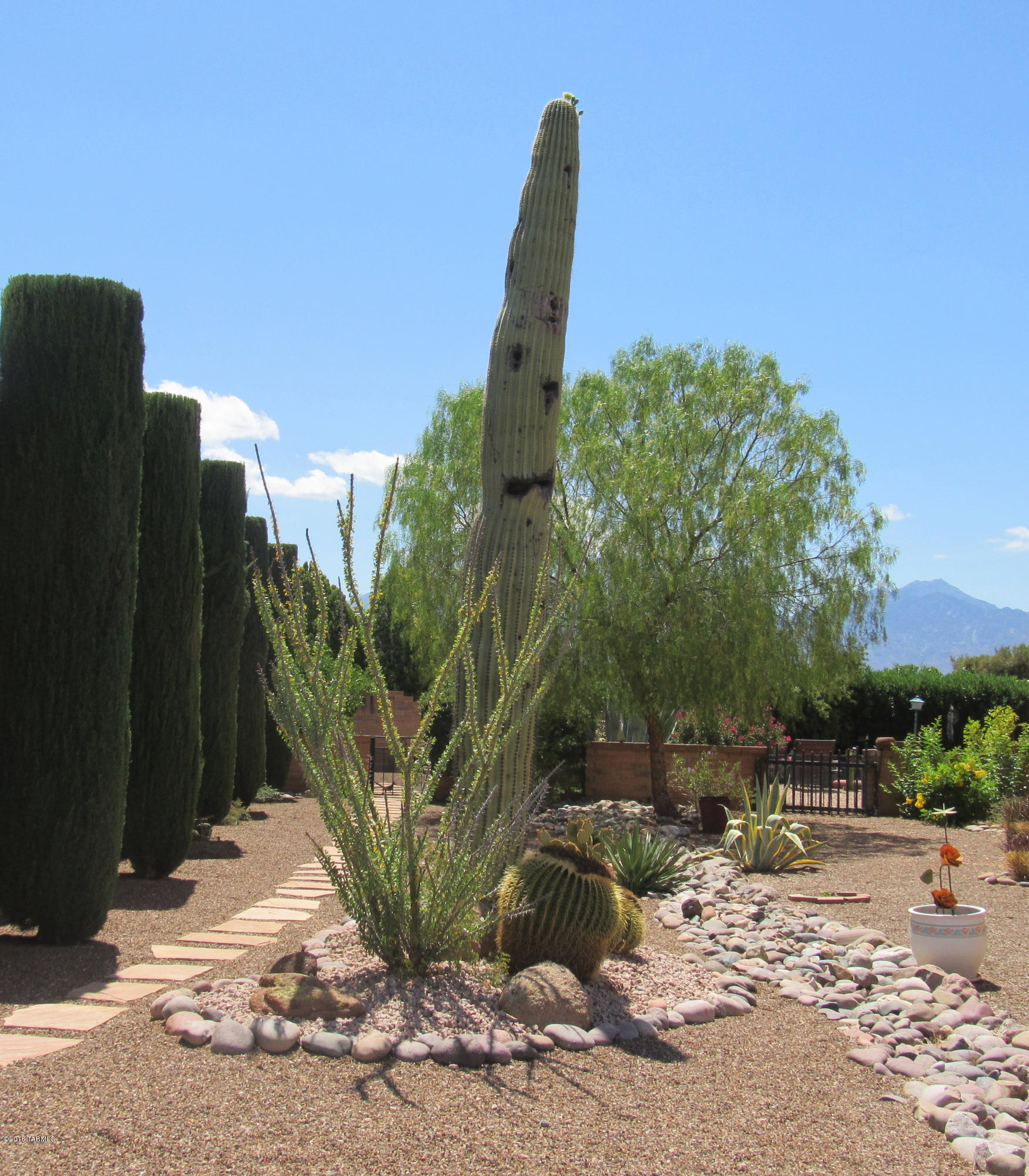 Green Valley Desert Hills NO.5 (1-196) - Residential