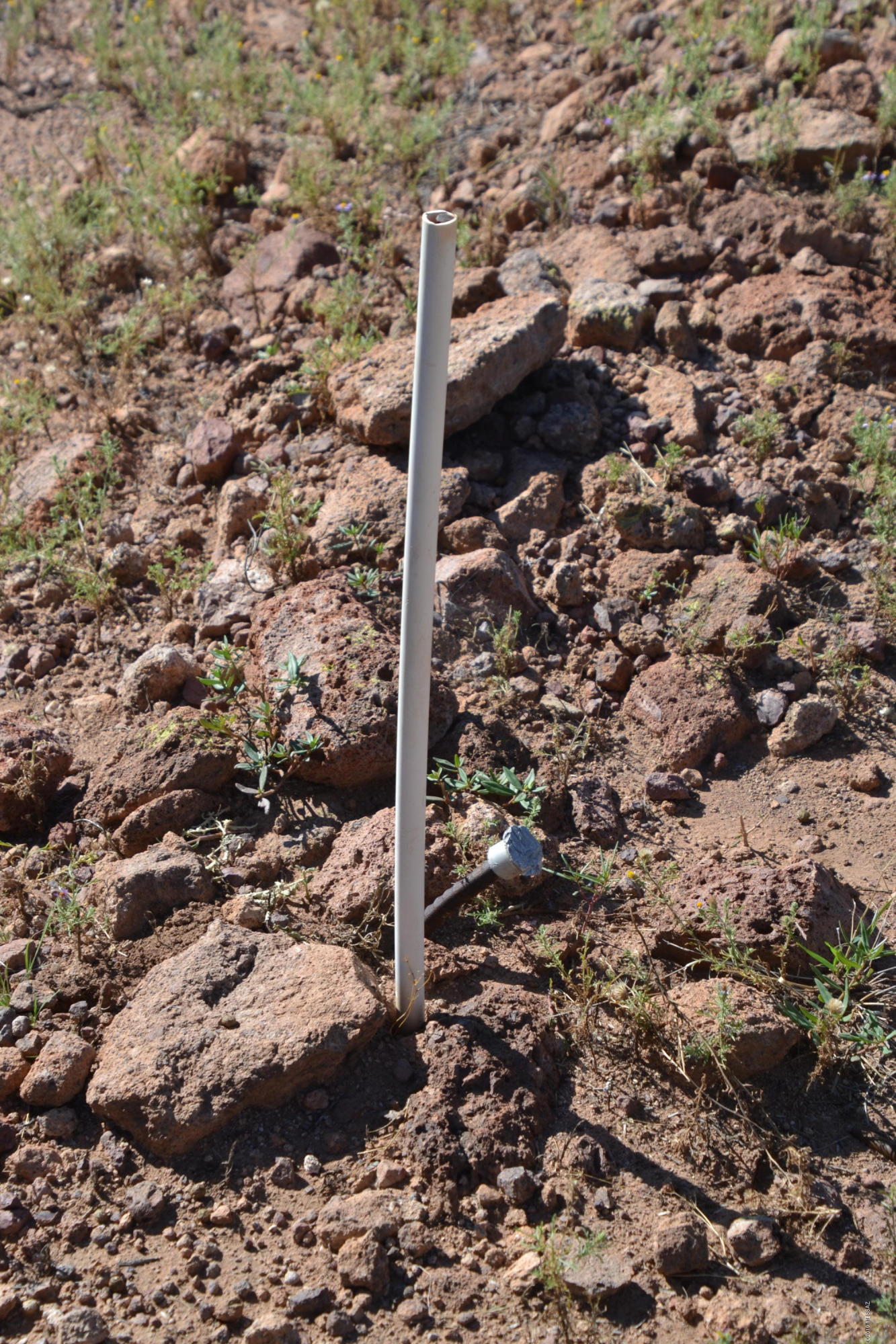 Out Of Pima County - Land