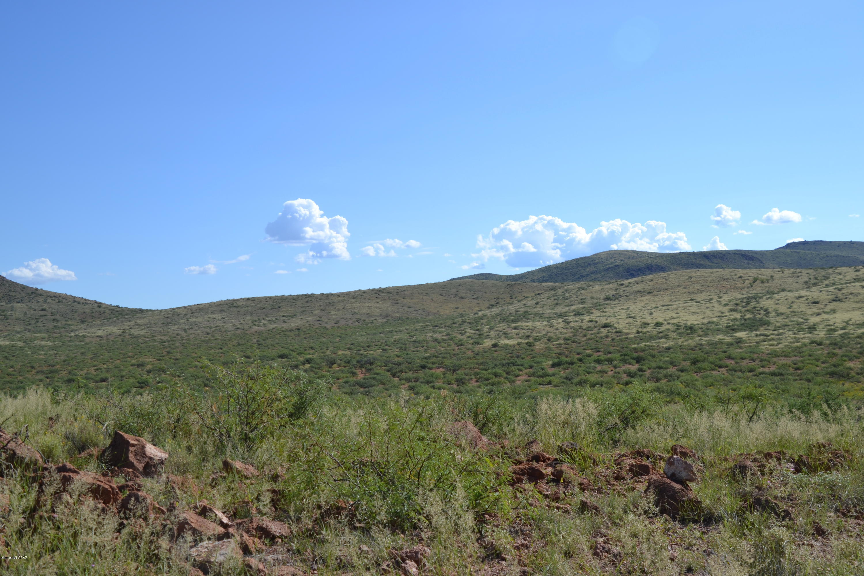 Out Of Pima County - Land