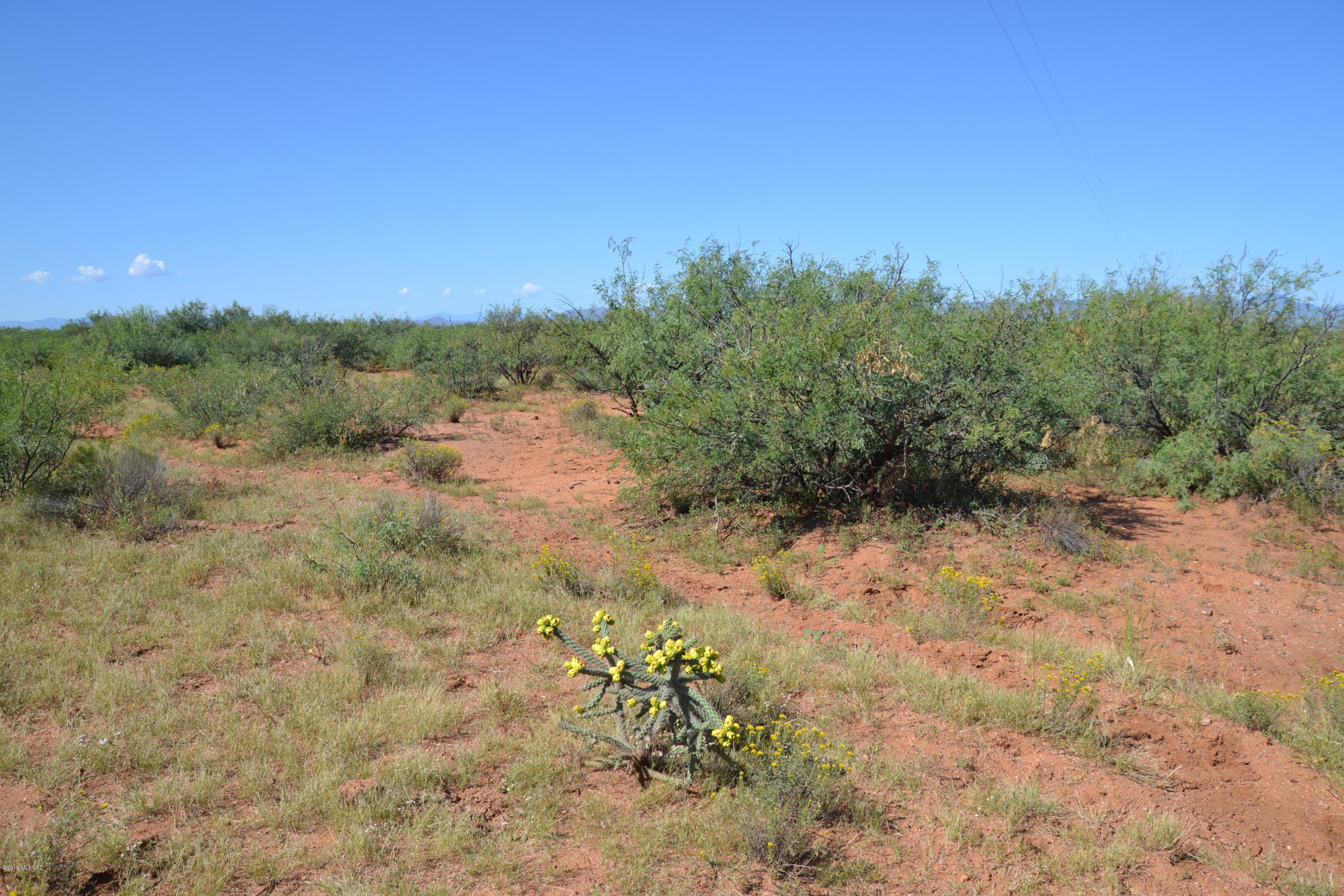 Out Of Pima County - Land