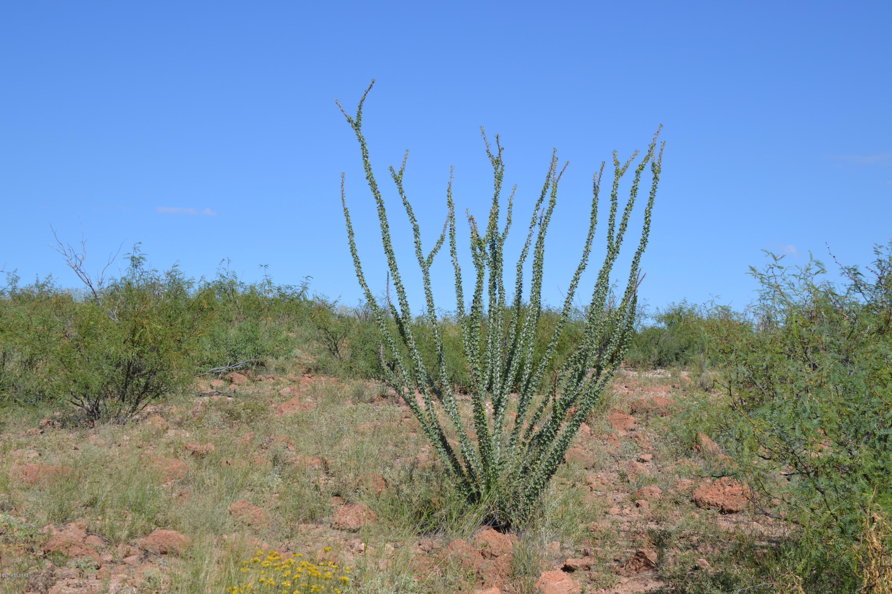 Out Of Pima County - Land