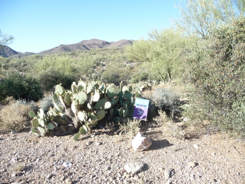 Saguaro Cliffs (1-61) - Land