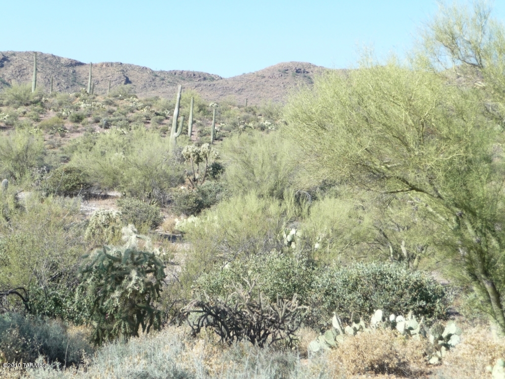 Saguaro Cliffs (1-61) - Land