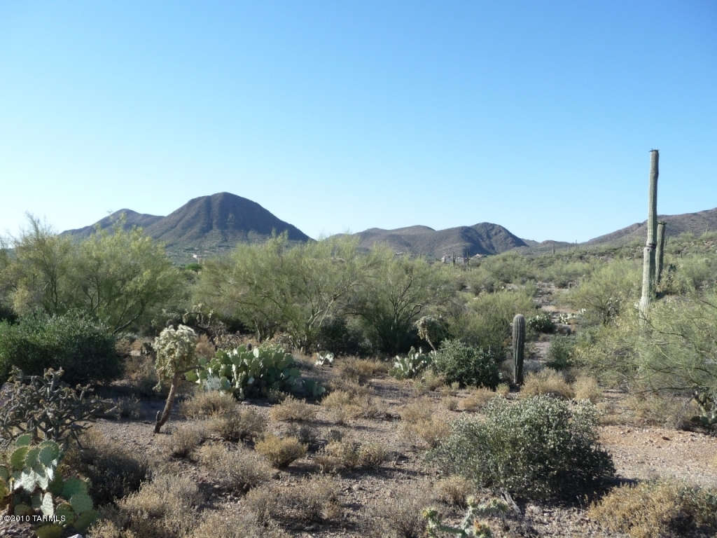 Saguaro Cliffs (1-61) - Land