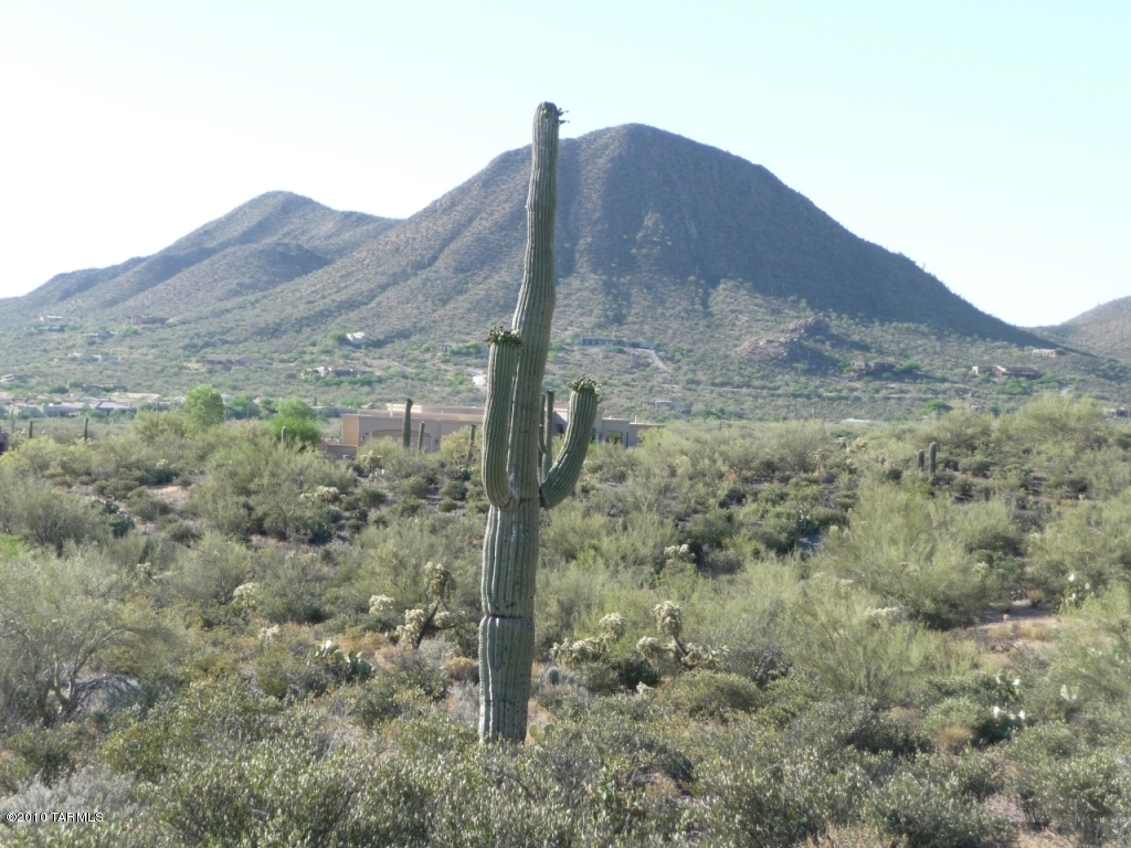 Saguaro Cliffs (1-61) - Land
