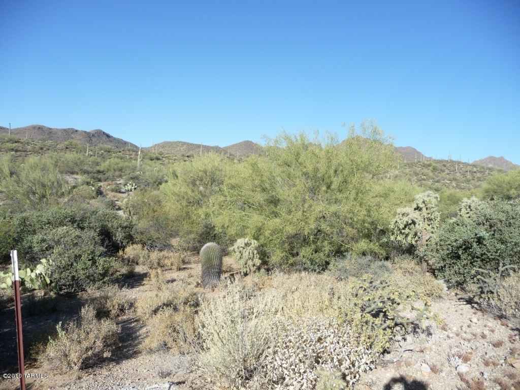 Saguaro Cliffs (1-61) - Land