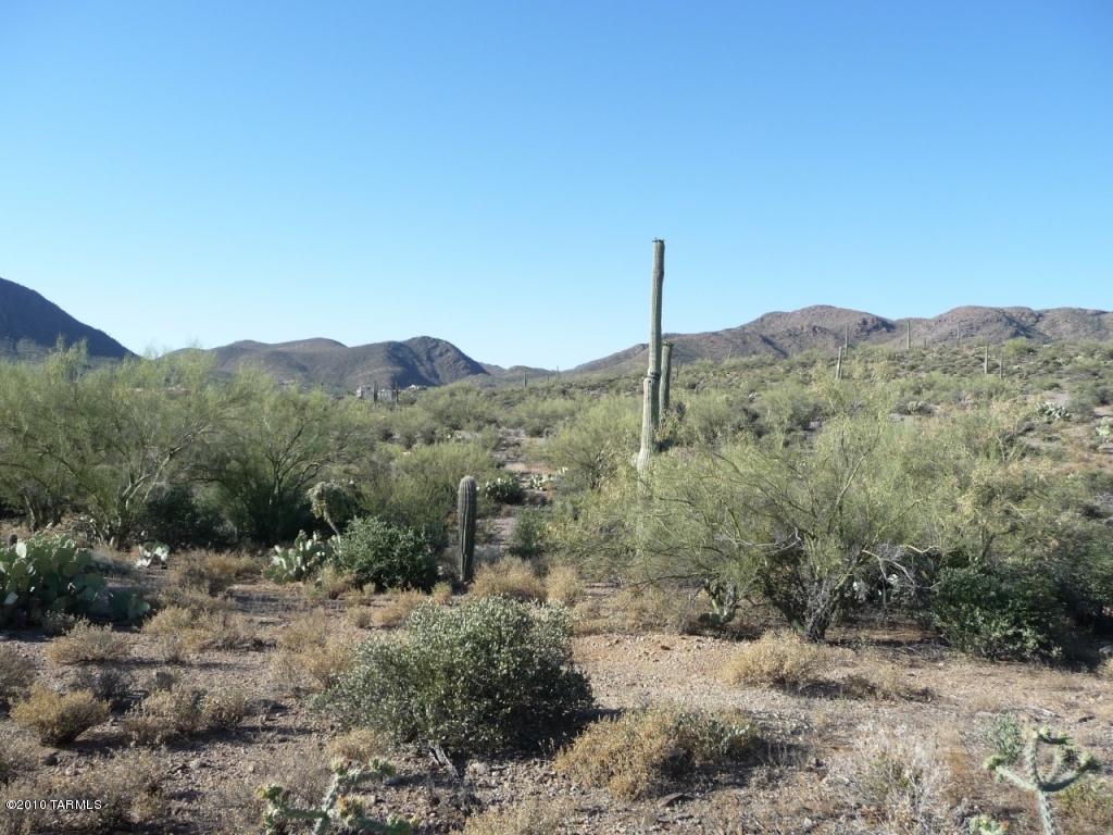 Saguaro Cliffs (1-61) - Land