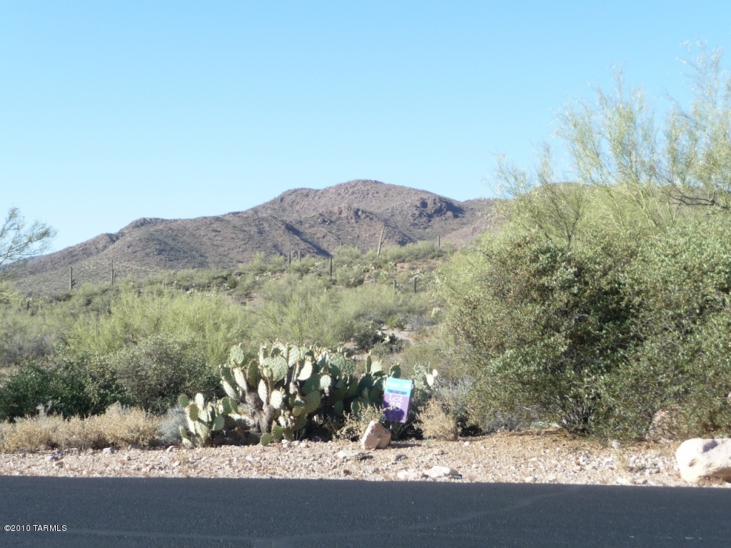 Saguaro Cliffs (1-61) - Land