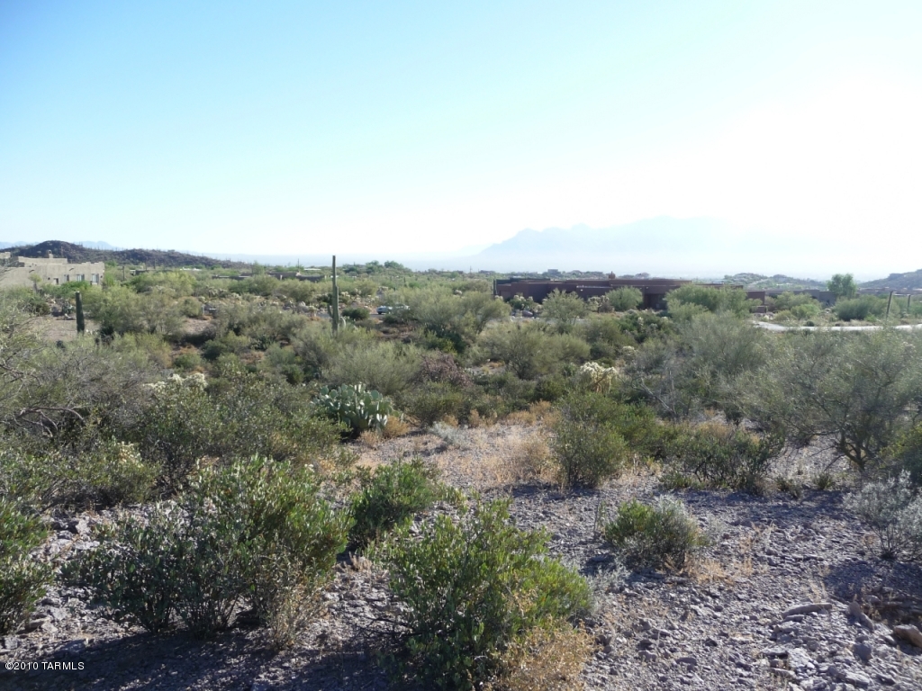 Saguaro Cliffs (1-61) - Land