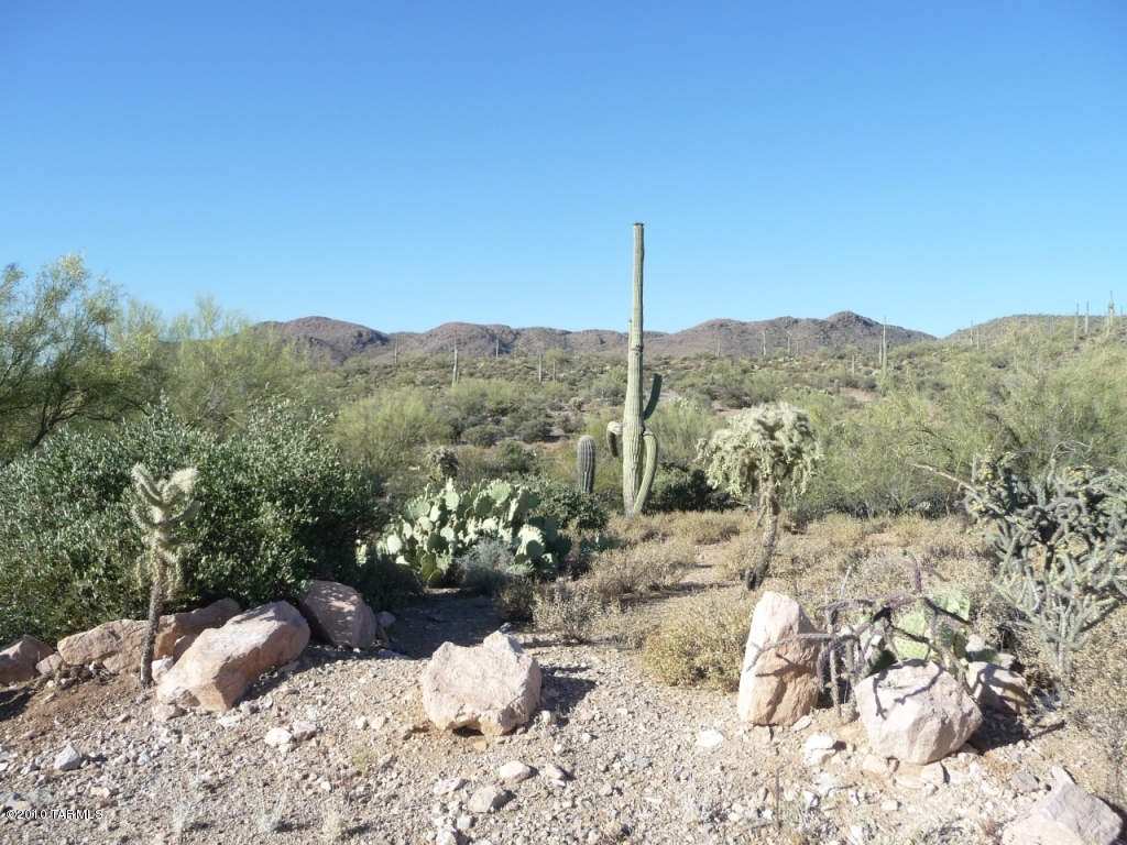 Saguaro Cliffs (1-61) - Land