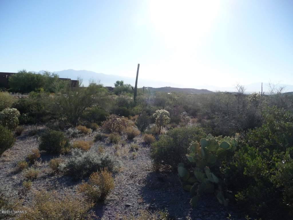 Saguaro Cliffs (1-61) - Land