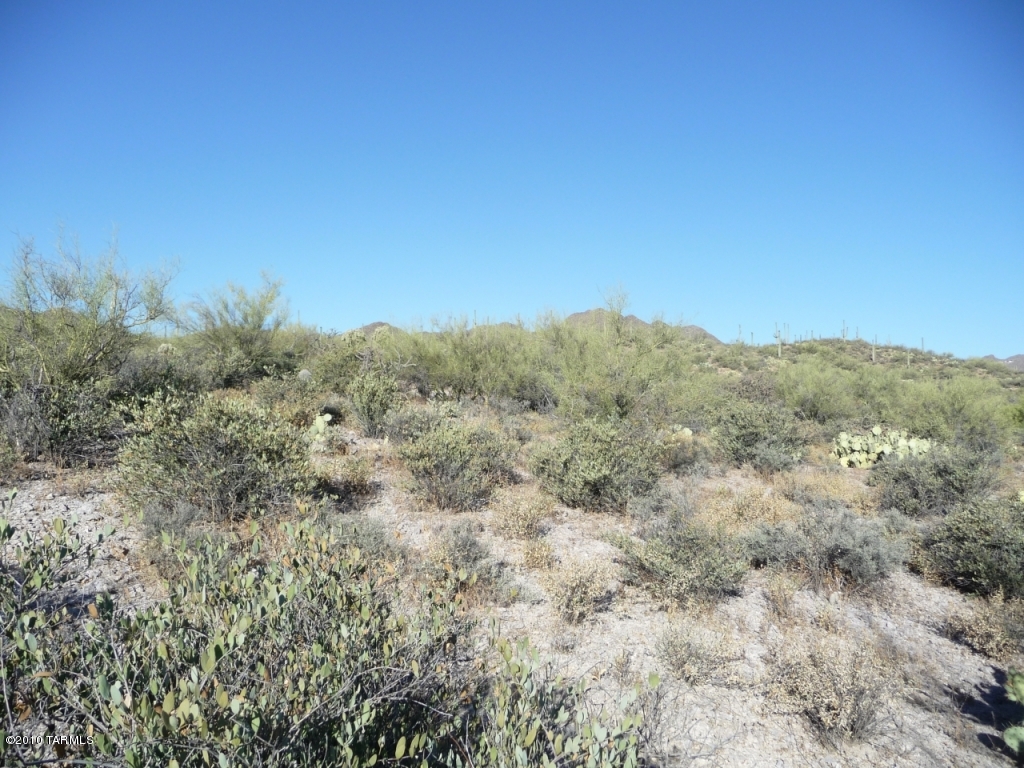 Saguaro Cliffs (1-61) - Land