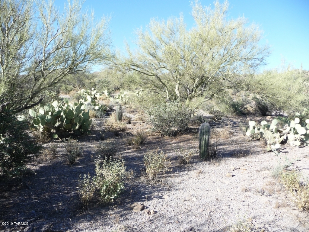 Saguaro Cliffs (1-61) - Land