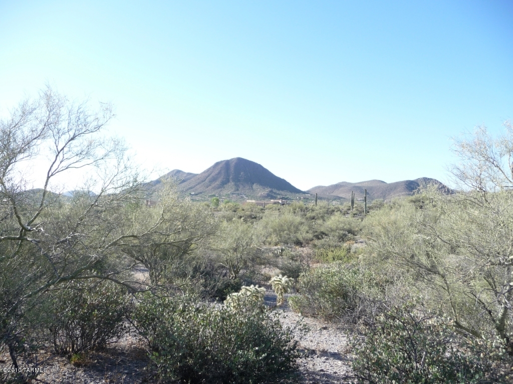 Saguaro Cliffs (1-61) - Land