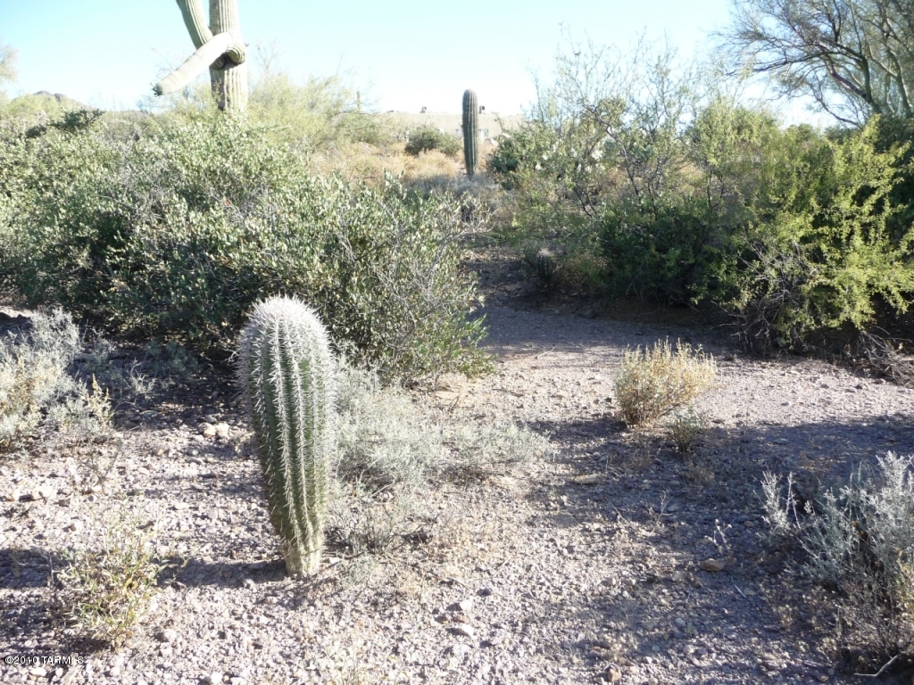 Saguaro Cliffs (1-61) - Land