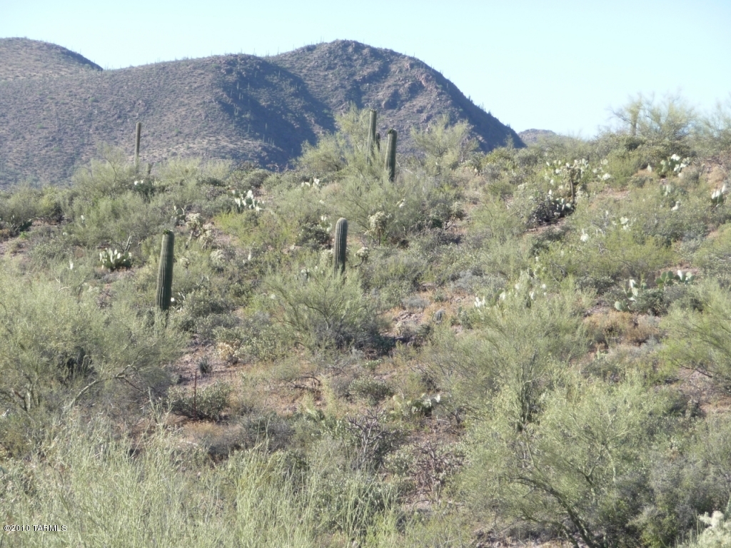 Exclusive home site with 1.77 acres adjacent to Tucson Mountain Park in gated Saguaro Cliffs. Located near the base of the Tucson Mountains within minutes of downtown, U of A, all shopping. Easy access to Interstate 10, Tucson International Airport, or Phoenix! Community of only 61 luxury estate lots is adjacent to Tucson Mountain Park and across the street from County Park Feliz Paseos! Deed restriction to customs minimum 2400 square feet in size. Desert living at its best!