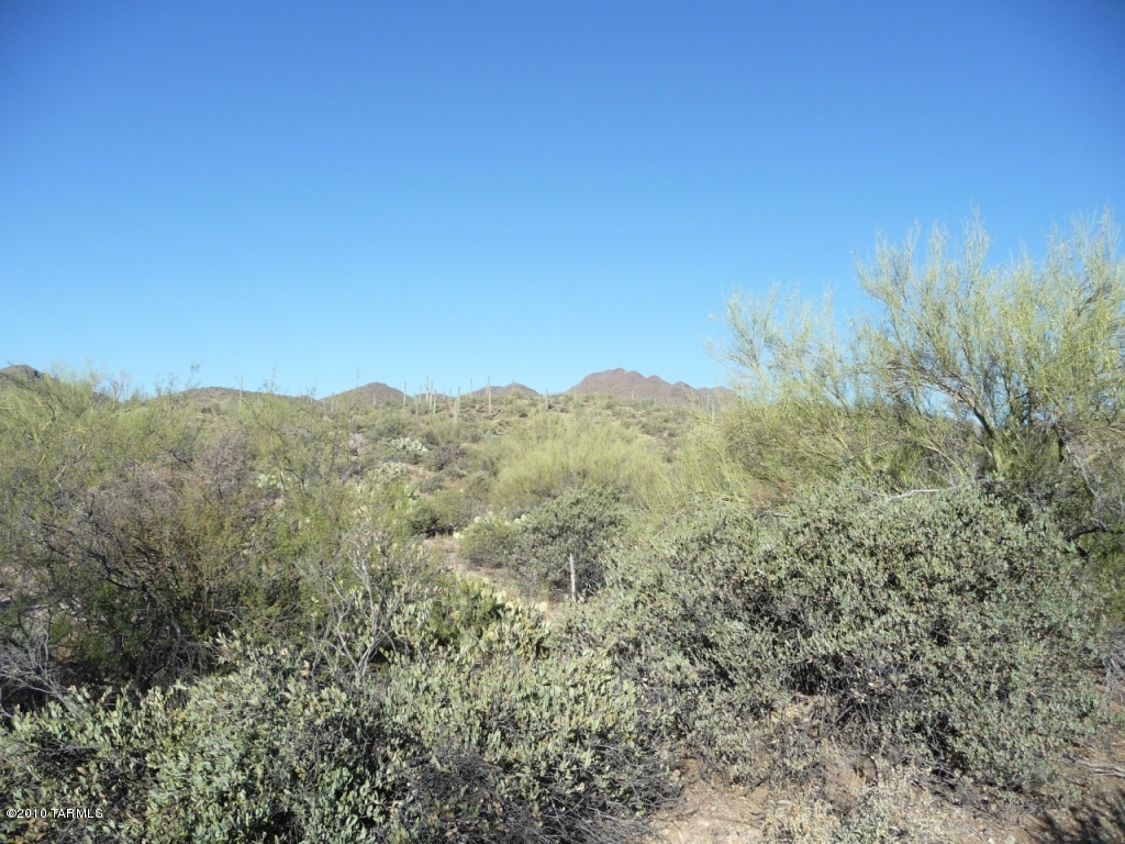 Saguaro Cliffs (1-61) - Land