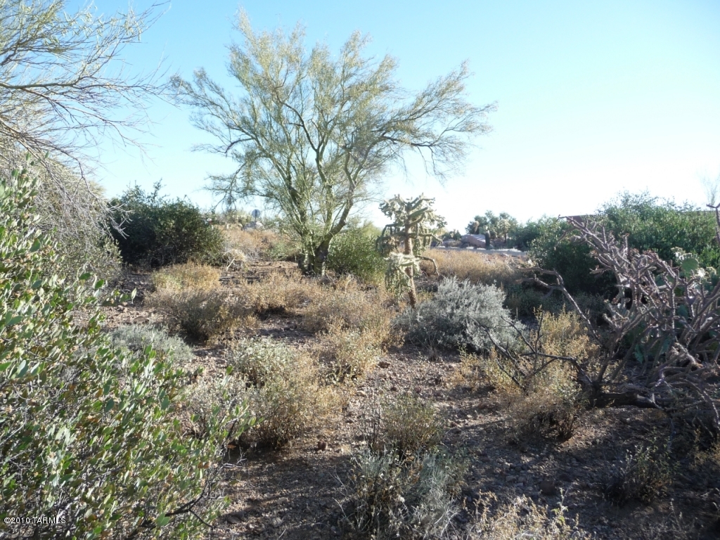 Saguaro Cliffs (1-61) - Land