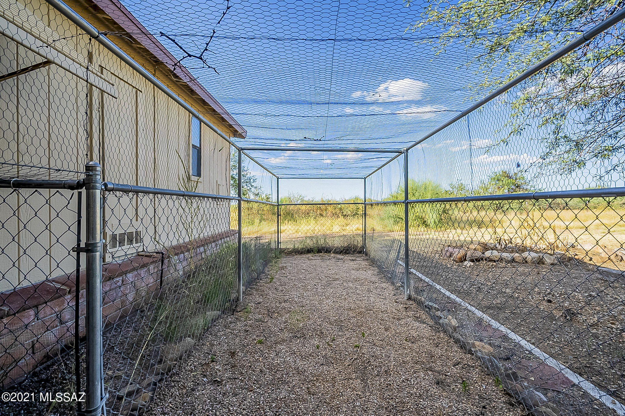 Elephant Head - Residential