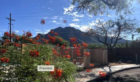 Desert Willows (1-30) - Residential Lease