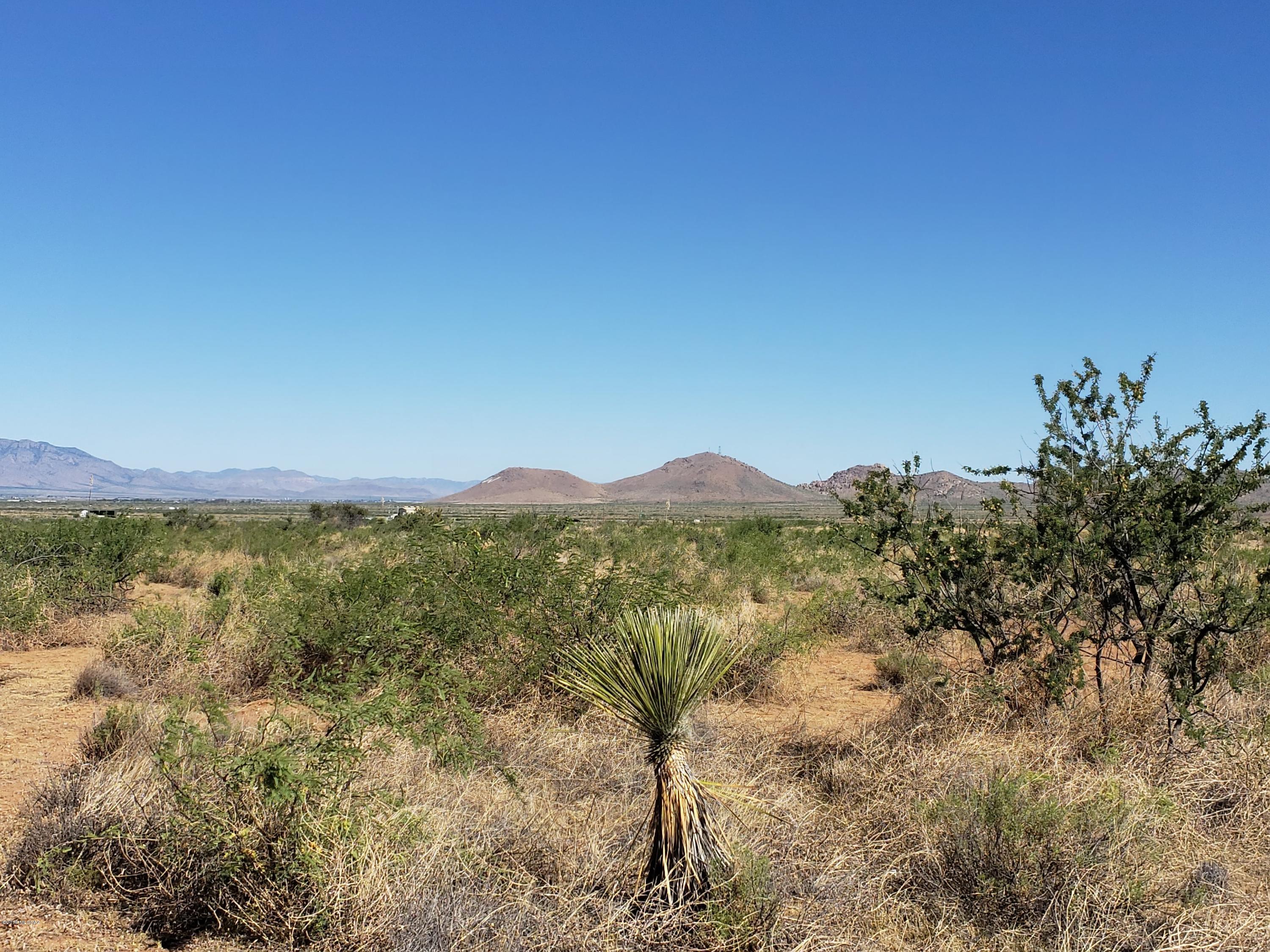 Bellflower Ranch - Land