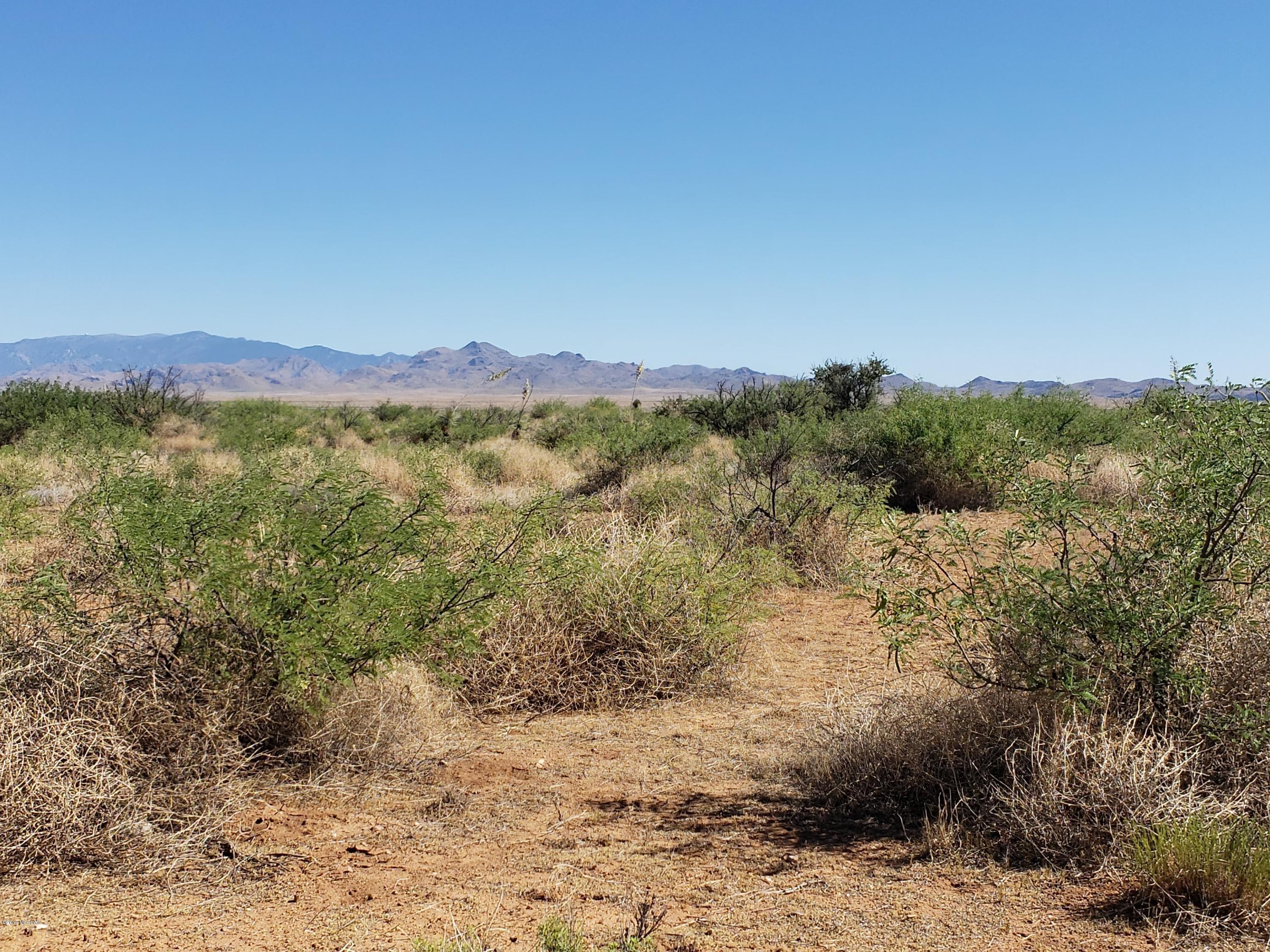 Bellflower Ranch - Land