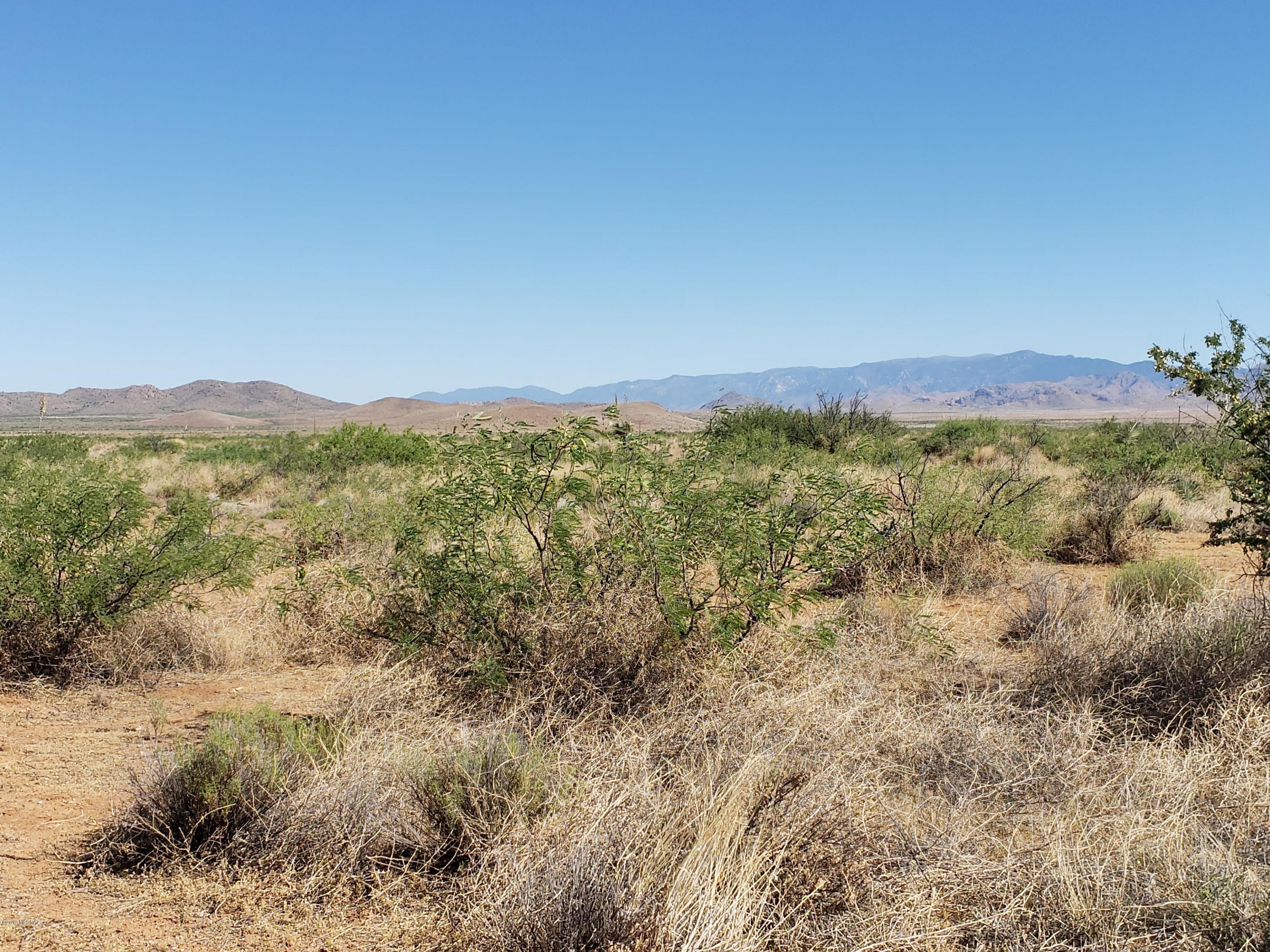 Bellflower Ranch - Land