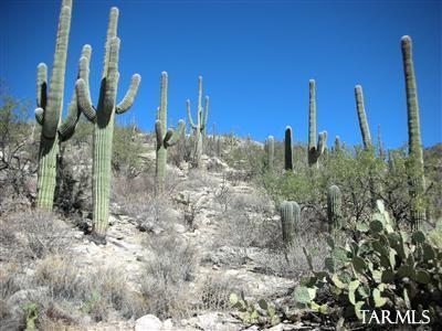 Mira Vista Estates (1-23) - Land