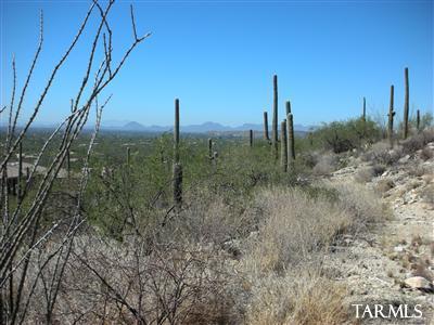 Mira Vista Estates (1-23) - Land