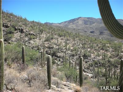 Mira Vista Estates (1-23) - Land