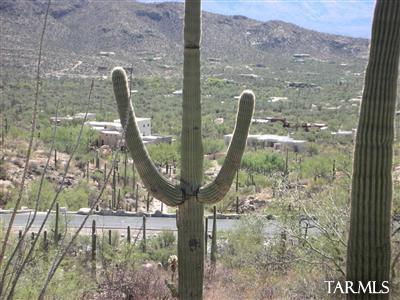 Mira Vista Estates (1-23) - Land